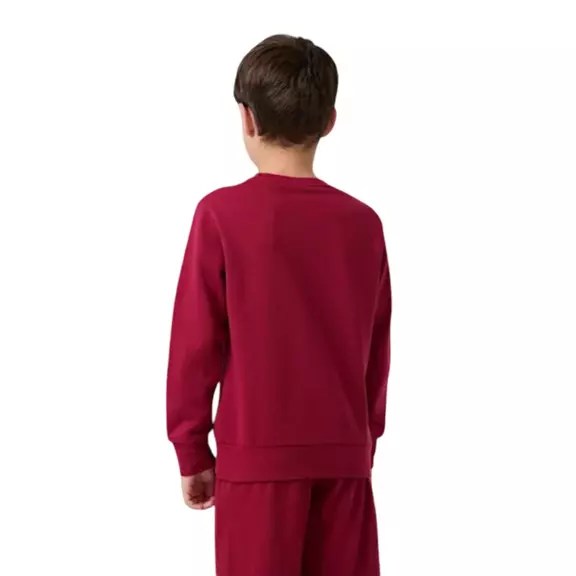 Champion Kids Graphic Crew Neck Sweatshirt "Red"