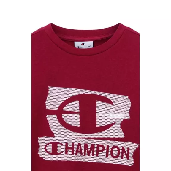 Champion Kids Graphic Crew Neck Sweatshirt "Red"