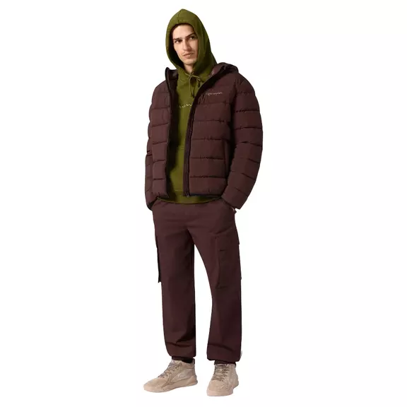 Champion Men’s Fleece Hoodie With Big Embroidered Logo Icons "Green"