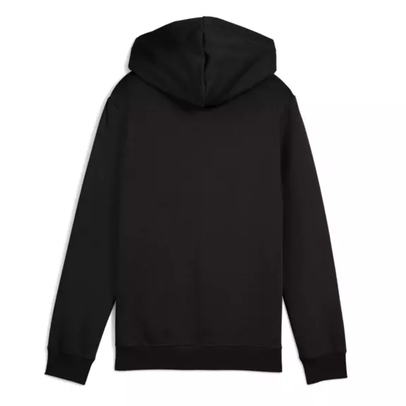 Puma ESS 2 COLOR Logo Hoodie FL "Black-Gold Moon"