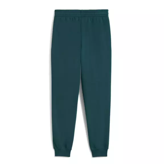 Puma ESS 2 COLOR Logo Sweatpants "Green Terrain"