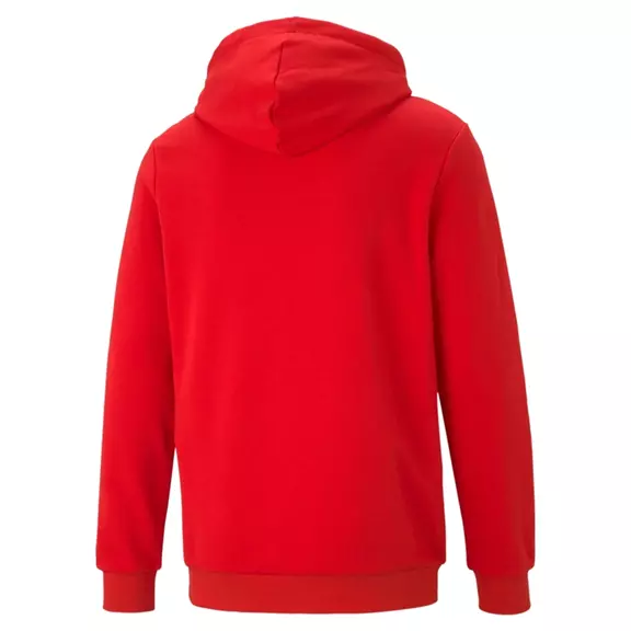 Puma ESS Big Logo Hoodie TR