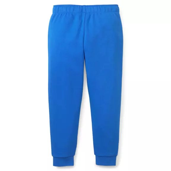 Puma Kids Fruitmates Sweatpants TR cl "Victoria Blue"