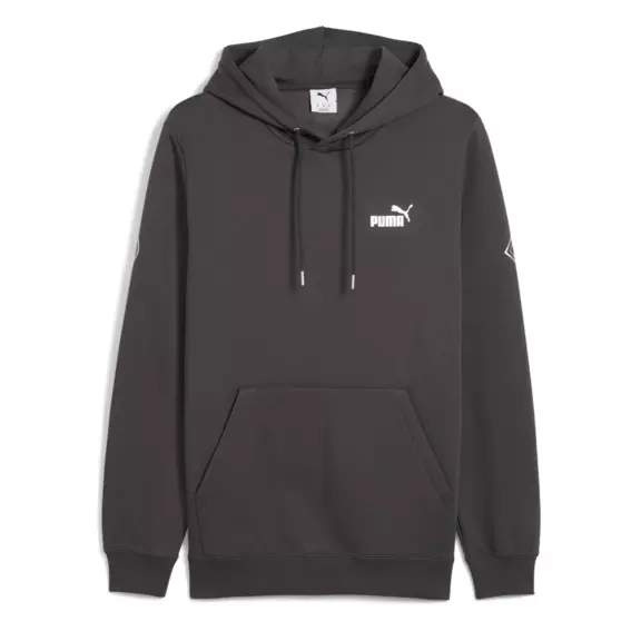 Puma MAXIMAL METALLIC Hoodie FL "Dusky Gray"