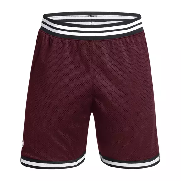 Under Armour Men's Curry Mesh Shorts "Dark Marron"