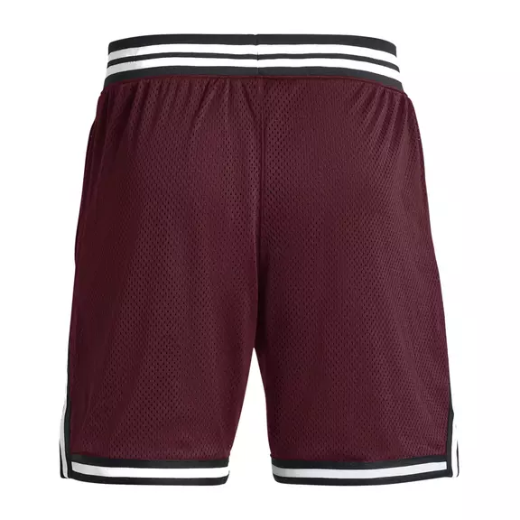 Under Armour Men's Curry Mesh Shorts "Dark Marron"