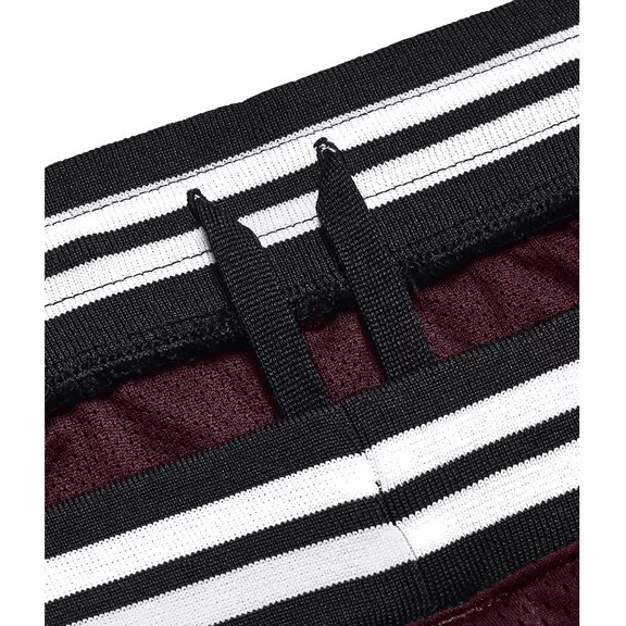 Under Armour Men's Curry Mesh Shorts "Dark Marron"