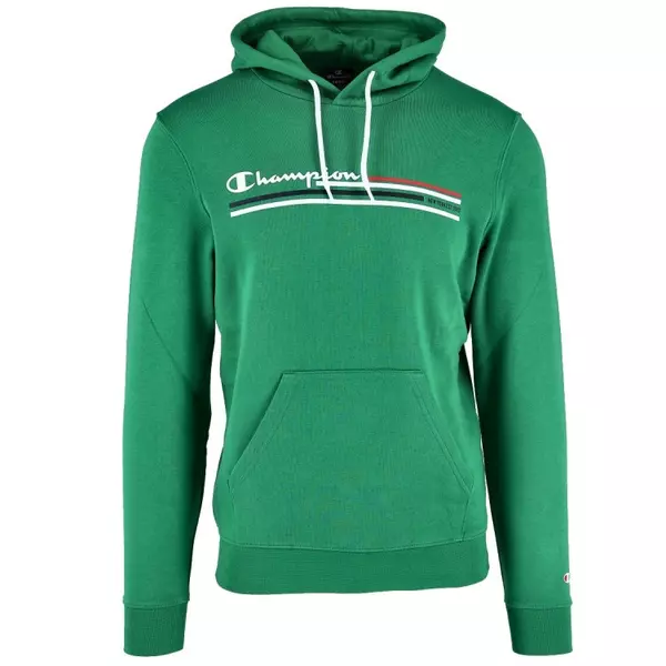 champion-authentic-classic-rochester-ny-1919-logo-hoodie-gs007-1.jpg.webp