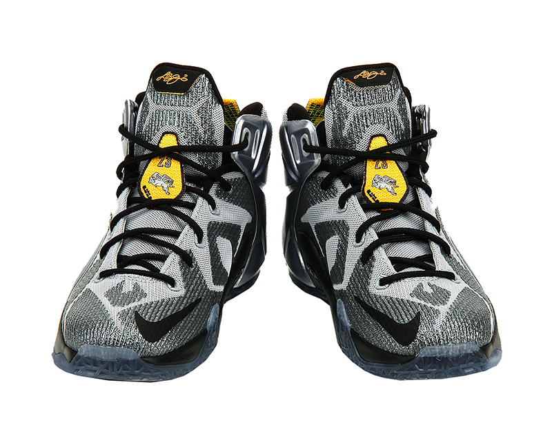 lebron xii gs