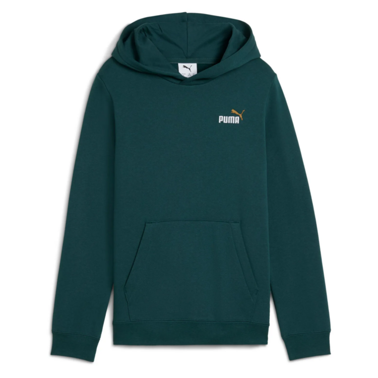 Puma ESS 2 COLOR Logo Hoodie "Green Terrain"