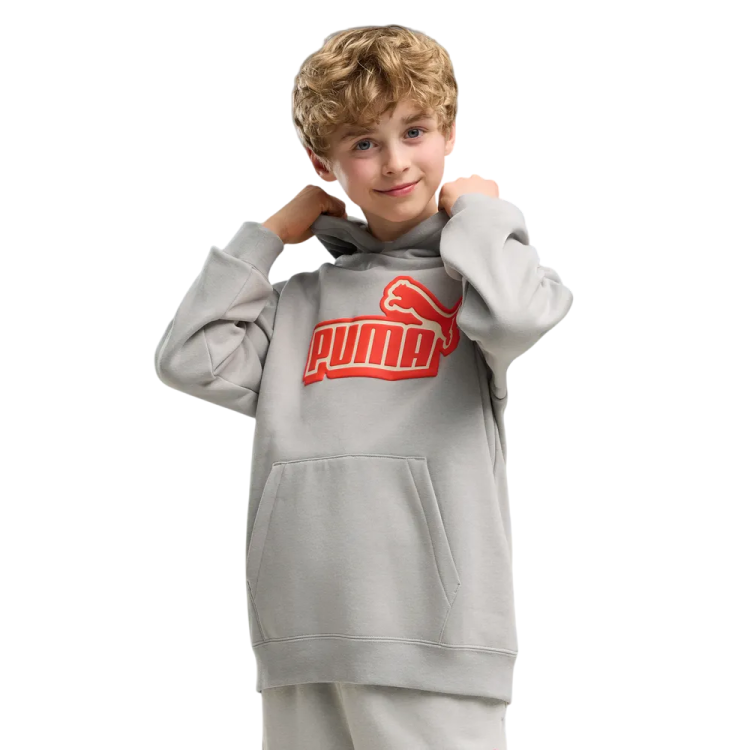 Sudadera Puma ESS LOGO LAB Relaxed FL B "Gray Echo"