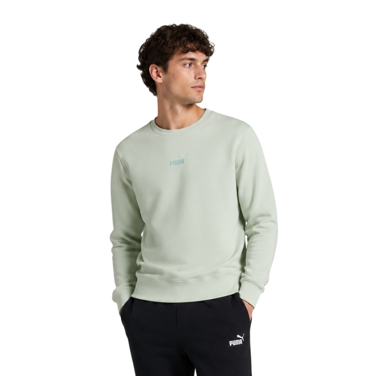 Sudadera Puma ESS Small No.1 Logo centered  FL "Soft Grass"