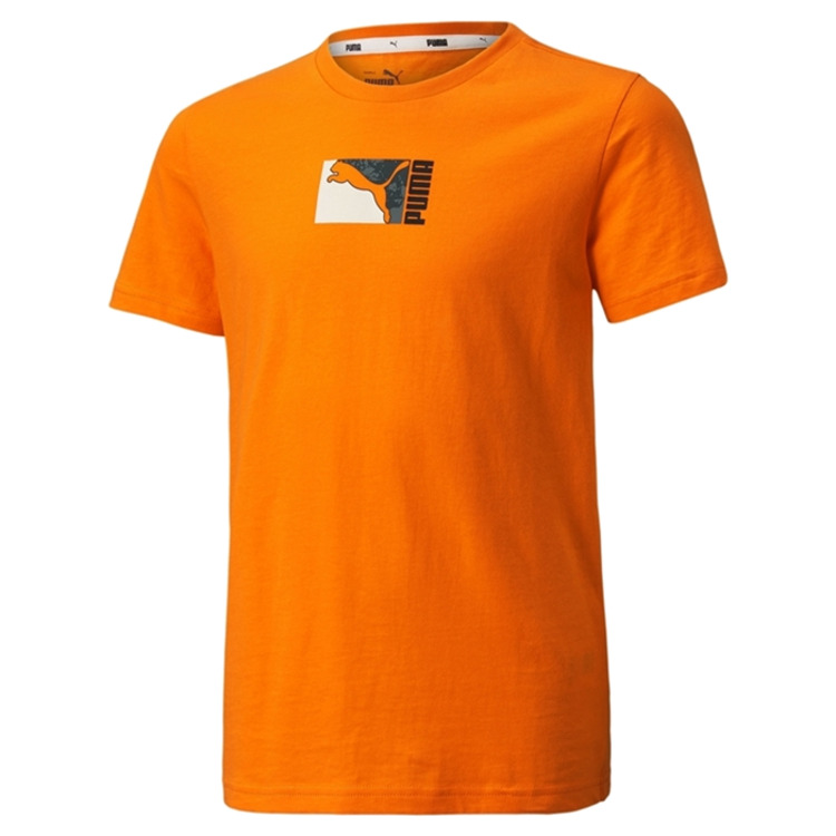 Añadir a la cesta Puma Junior Alpha Holiday Tee Puma Junior Alpha Holiday Tee