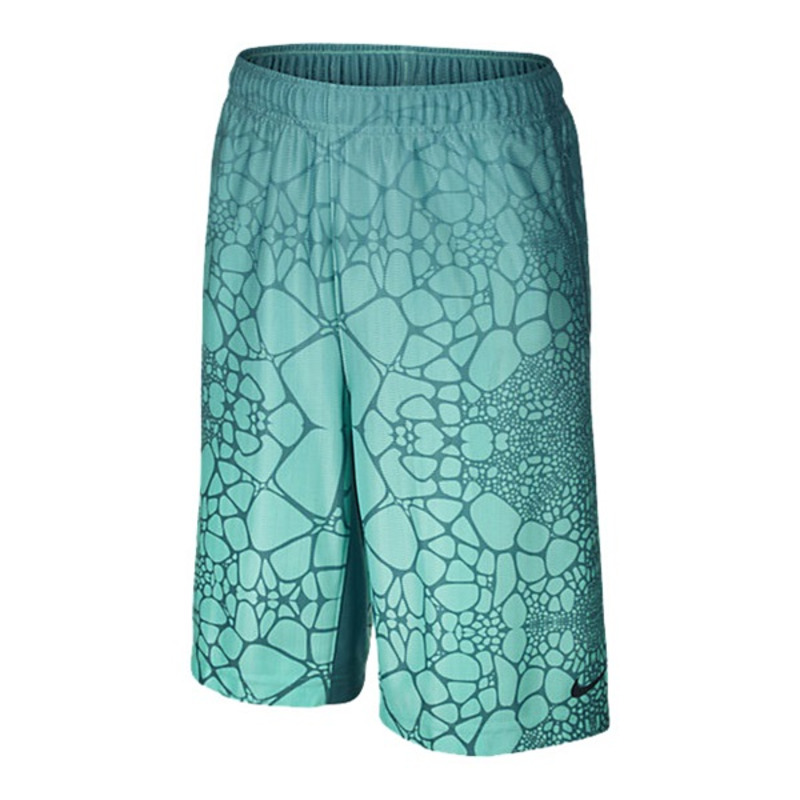Lebron sales tamed shorts