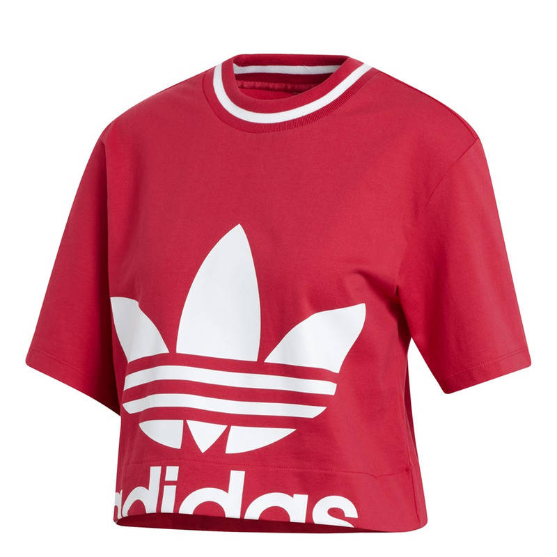Adidas Originals Shirt Cropped Tee Pink manelsanchez