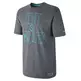 LeBron Deny & Conquer Camiseta (091/gris/azul)