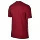 Camiseta Lebron Lion (687/rojo/blanco)