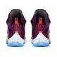 Lebron XIII "Written In The Stars" (500/mulberry/black/purple)