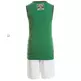 Adidas NBA Minikit Boston Celtics Washed (verde/blanco)