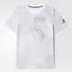 Adidas Camiseta Youth Real Madrid (white/clear grey)