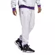 Adidas Dame 8 Foundation Pants "Gray"