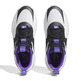 Adidas Damian Lillard Certified Extply 2.0 "Rafmor Dame"