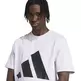 Adidas ESSENTIALS BIG LOGO SINGLE JERSEY TEE"Purple"
