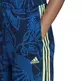 Adidas Farm Río Wide-Leg Pant