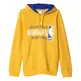 Adidas Graphic Hoodie Warriors (nba-gsw)