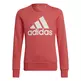 Adidas Kids Essentials Big Logo Sweatshirt