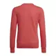 Adidas Kids Essentials Big Logo Sweatshirt