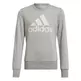 Adidas Kids Essentials Sweatshirt