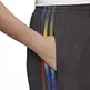 Adidas Originals Adicolor Track Pants