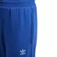 Adidas Originals Junior Large Trefoil Pants