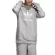 Adidas Originals Trefoil Warm-Up Hoddie