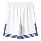 Adidas Short Basket 1º Equipacion Real Madrid 2016/17 (Balcri/Mornat)