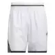 Adidas Short Basket Crazylite "White Black"