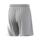 Adidas Short Fortore23 Jr. "Gray"