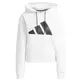 Adidas Sportswear Relaxed Doubleknit Fit Logo Hoodie