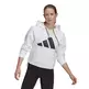 Adidas Sportswear Relaxed Doubleknit Fit Logo Hoodie