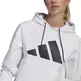 Adidas Sportswear Relaxed Doubleknit Fit Logo Hoodie