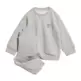 Adidas sweatshirt and pants  TREFOIL CS "Grey"