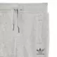 Adidas sweatshirt and pants  TREFOIL CS "Grey"