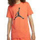 Air Jordan Jumpman Logo T-Shirt