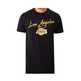 Camiseta NBA L.A Lakers NBA Script # 6 JAMES #