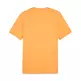 Camiseta Puma GRAPHICS Mountain "Clementine"