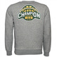 Champion Basketball Graphic Crewneck Sweatshirt "Washington"