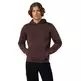 Champion Men’s Washed Fleece Hoodie Icons "Brown"