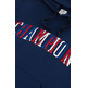 Champion Embroidered Bookstore Logo Hoodie