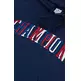 Champion Embroidered Bookstore Logo Hoodie